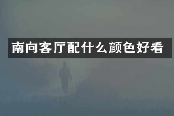 南向客厅配什么颜色好看