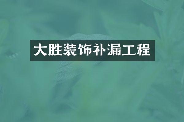 大胜装饰补漏工程
