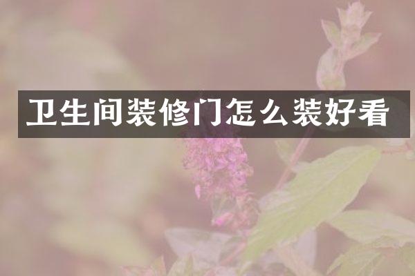 卫生间装修门怎么装好看