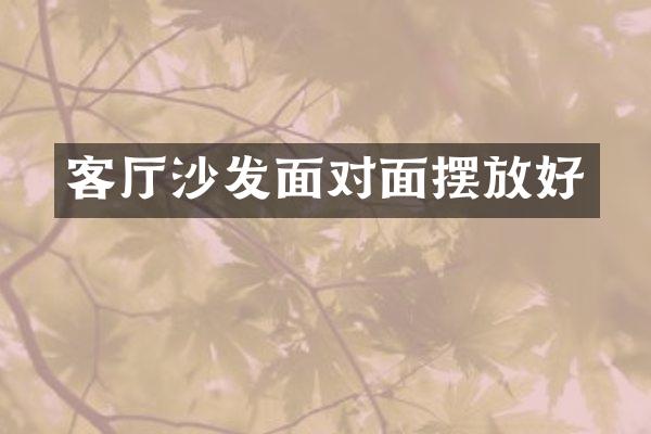 客厅沙发面对面摆放好