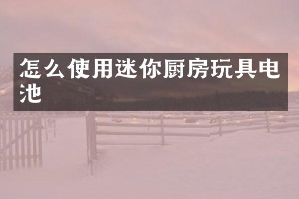 怎么使用迷你厨房玩具电池