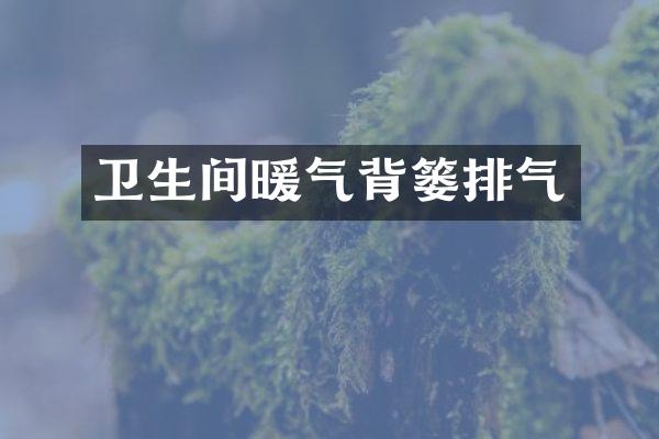 卫生间暖气背篓排气
