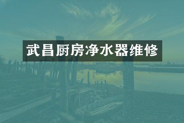 武昌厨房净水器维修