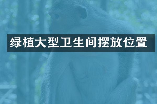 绿植大型卫生间摆放位置