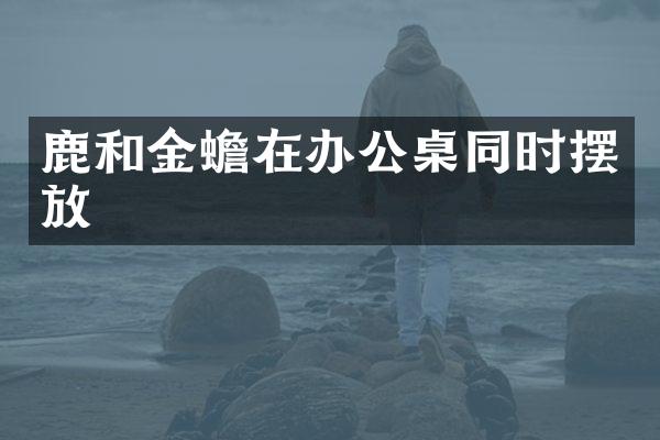 鹿和金蟾在办公桌同时摆放