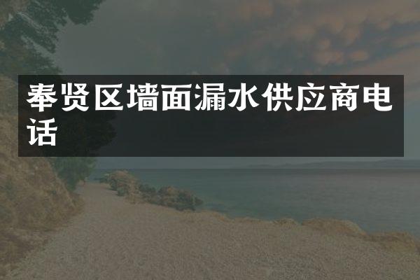 奉贤区墙面漏水供应商电话