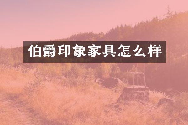 伯爵印象家具怎么样