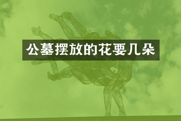 公墓摆放的花要几朵