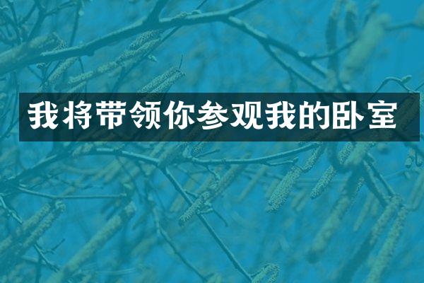我将带领你参观我的卧室