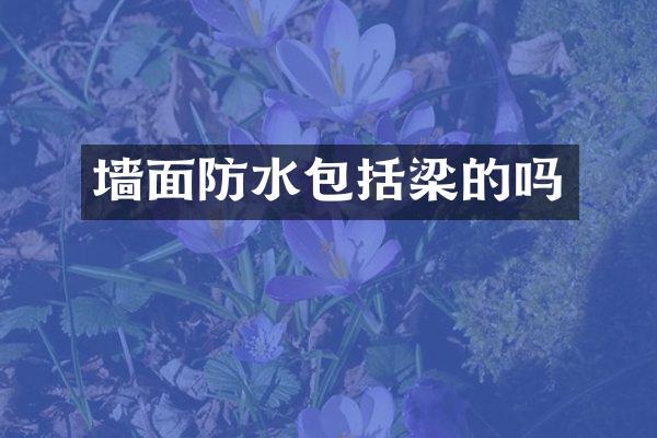 墙面防水包括梁的吗