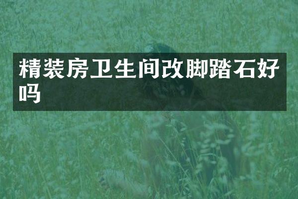精装房卫生间改脚踏石好吗