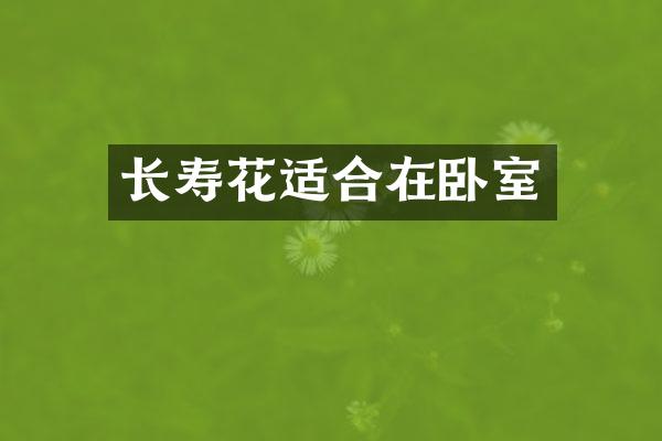 长寿花适合在卧室