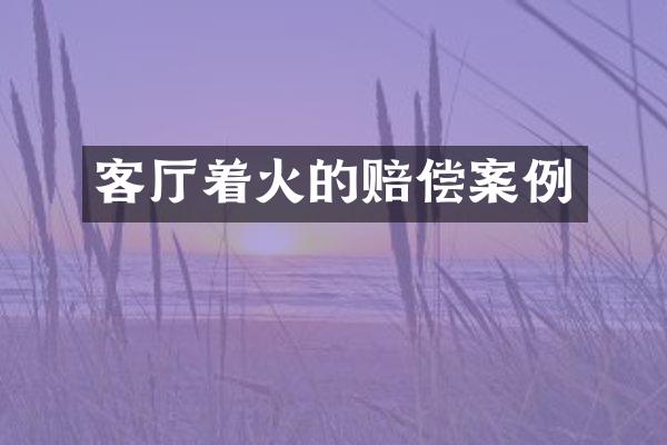 客厅着火的赔偿案例