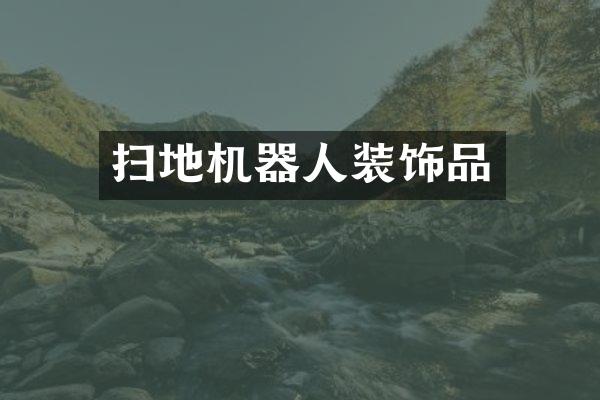 扫地机器人装饰品