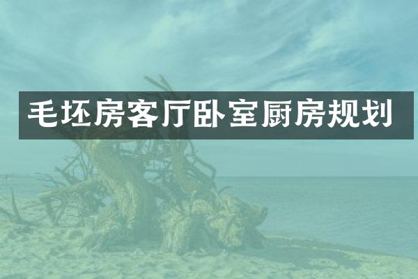 毛坯房客厅卧室厨房规划