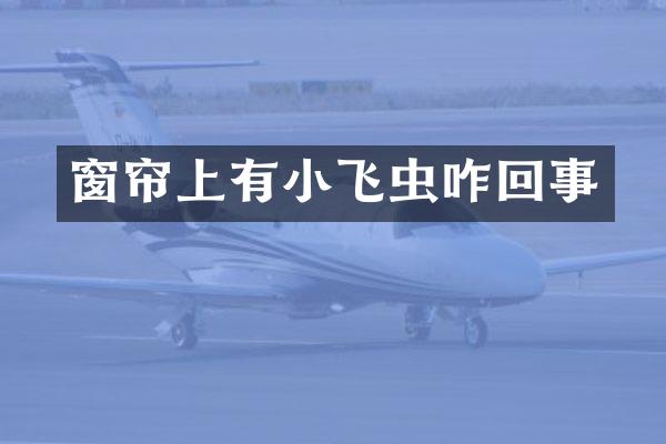 窗帘上有小飞虫咋回事