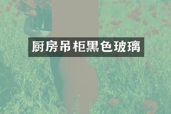厨房吊柜黑色玻璃