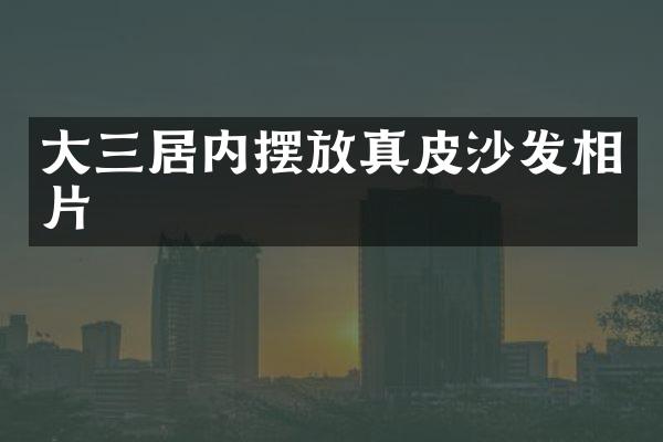 大三居内摆放真皮沙发相片