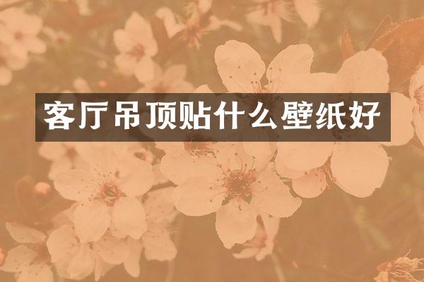 客厅吊顶贴什么壁纸好