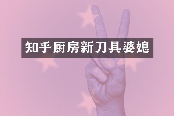 知乎厨房新刀具婆媳