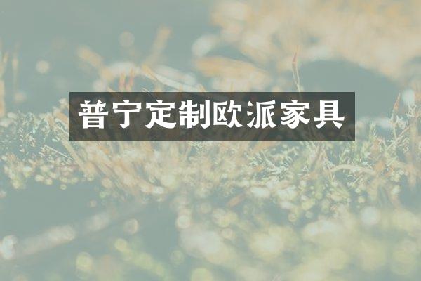 普宁定制欧派家具