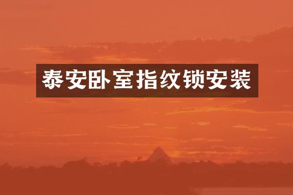 泰安卧室指纹锁安装