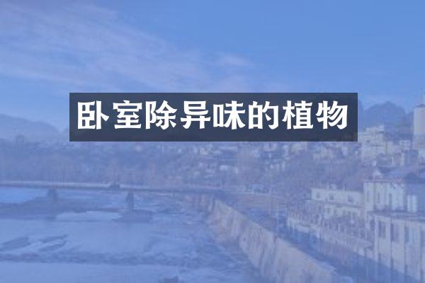 卧室除异味的植物