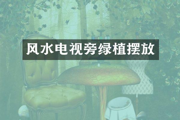 风水电视旁绿植摆放