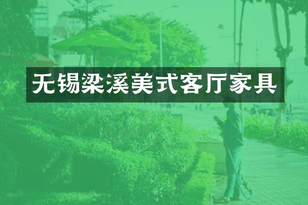 无锡梁溪美式客厅家具