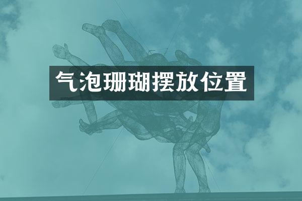 气泡珊瑚摆放位置