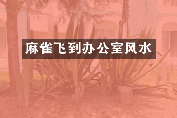 麻雀飞到办公室风水