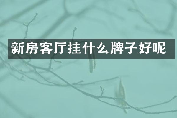 新房客厅挂什么牌子好呢