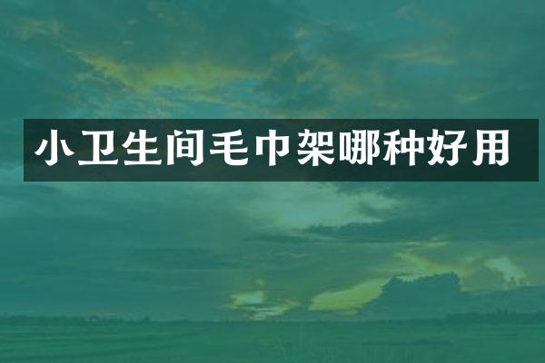 小卫生间毛巾架哪种好用