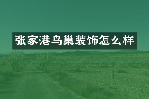 张家港鸟巢装饰怎么样