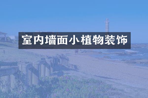 室内墙面小植物装饰