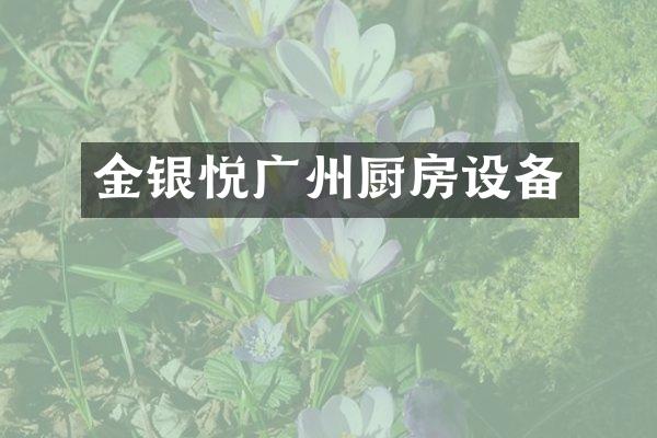 金银悦广州厨房设备