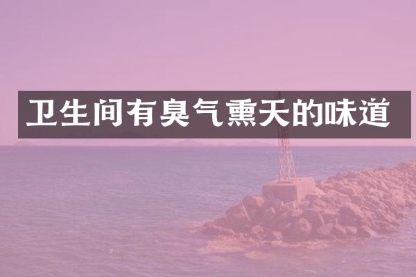 卫生间有臭气熏天的味道