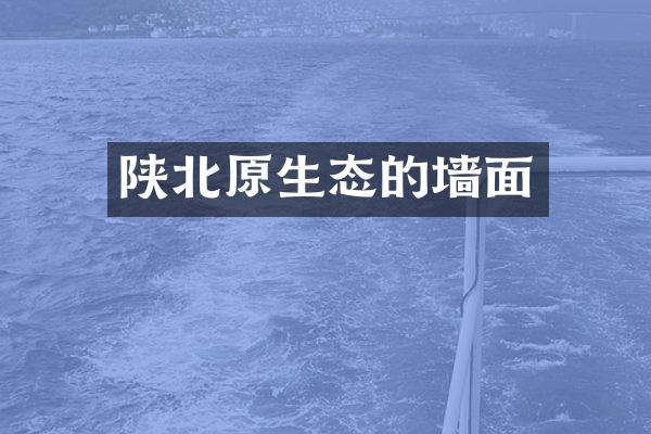 陕北原生态的墙面
