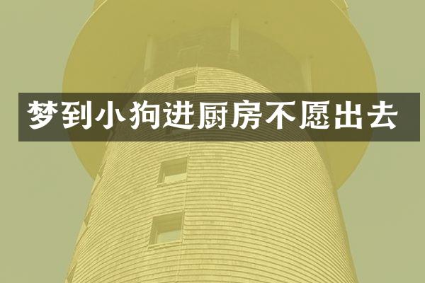 梦到小狗进厨房不愿出去