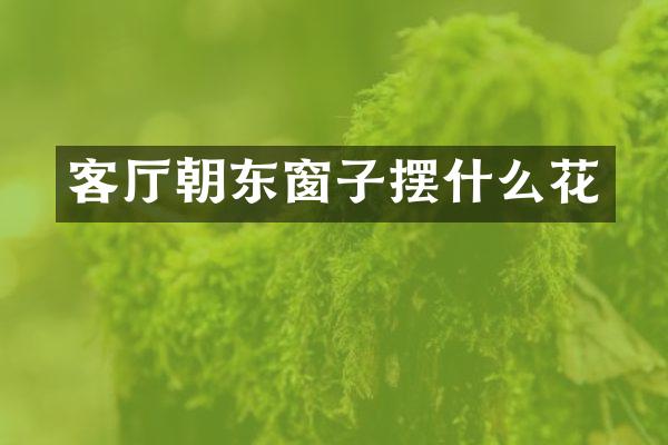 客厅朝东窗子摆什么花