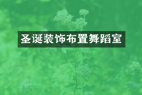 圣诞装饰布置舞蹈室