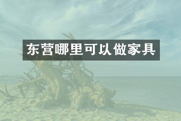 东营哪里可以做家具