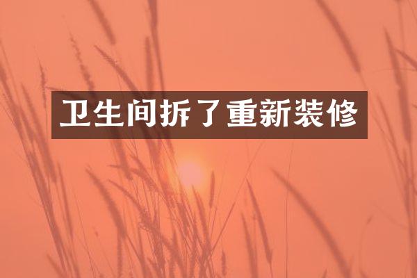 卫生间拆了重新装修
