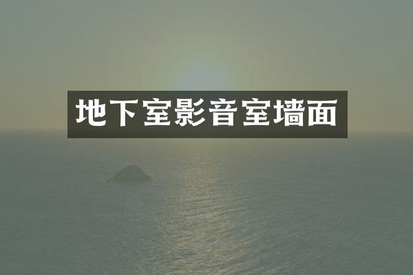 地下室影音室墙面