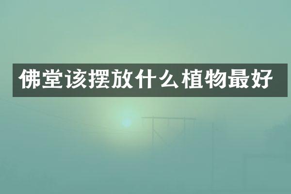 佛堂该摆放什么植物最好