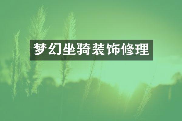 梦幻坐骑装饰修理