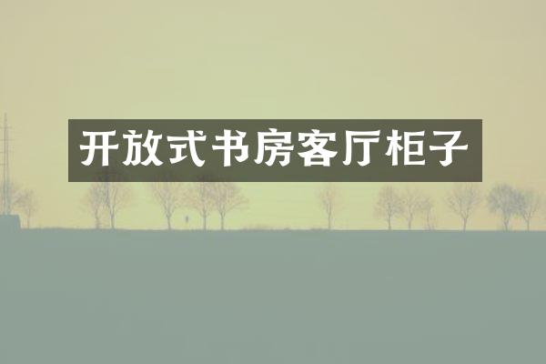 开放式书房客厅柜子