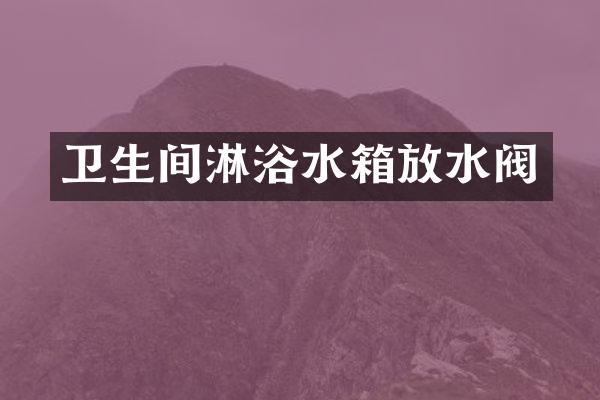 卫生间淋浴水箱放水阀