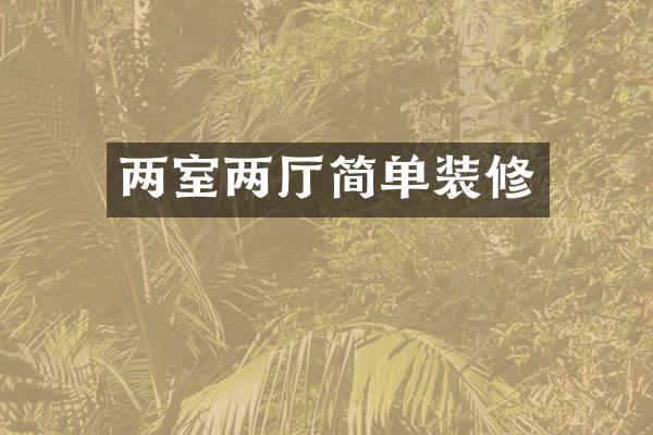 两室两厅简单装修