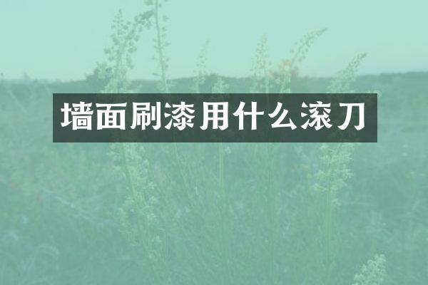 墙面刷漆用什么滚刀